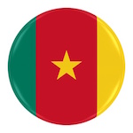 cameroon flag